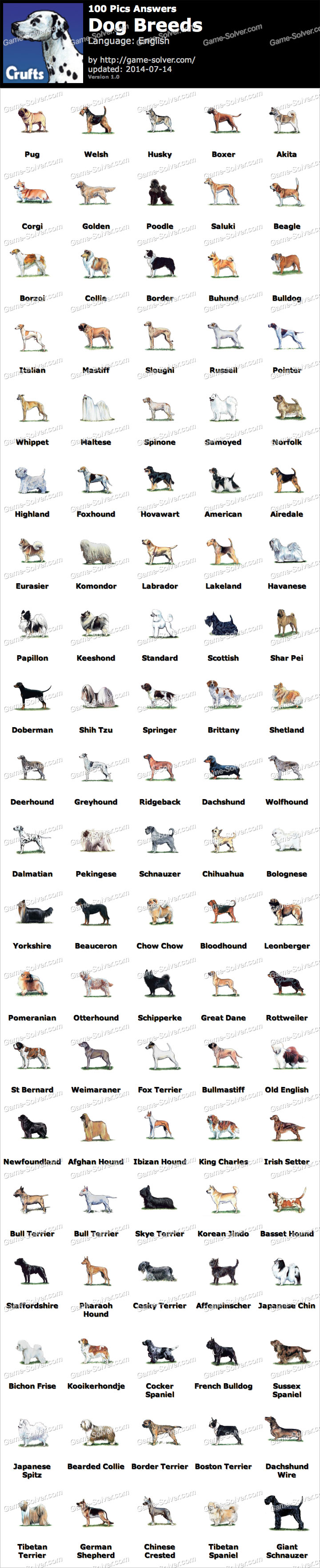 100 pics breeds 100 pics breeds solver breeds picture 100 pics breeds 100 pics breeds solver breeds picture