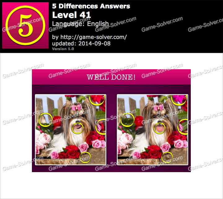 5 Differences Level 41 - Game Solver