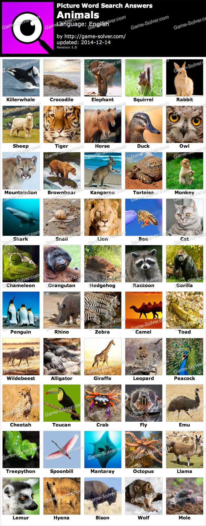 Picture Word Search Animals Answers • Game Solver