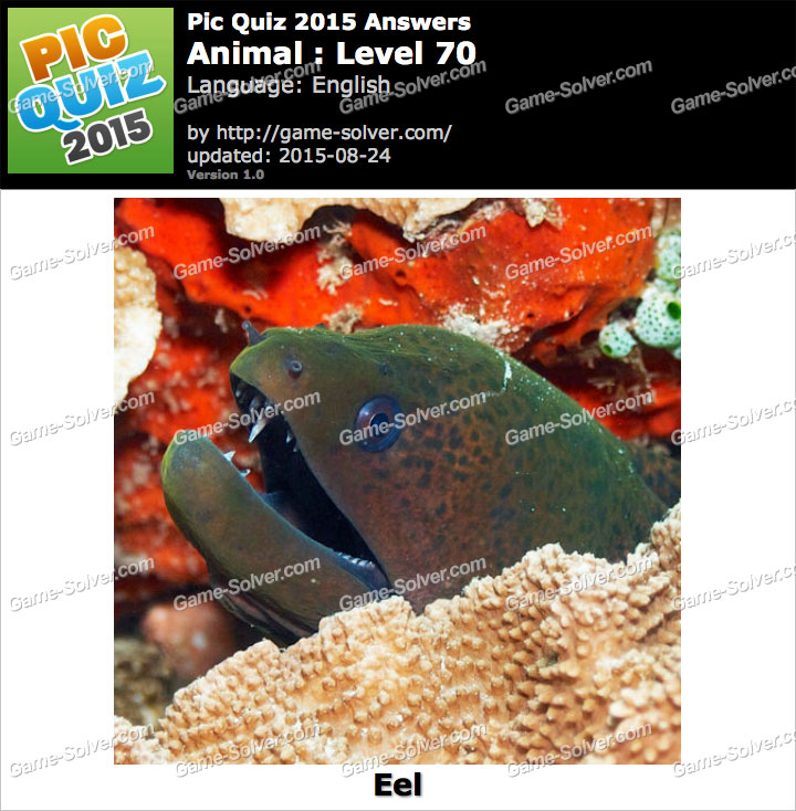 Pic Quiz 2015 Animal Level 70 - Game Solver