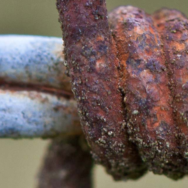 Zoomed In Nivel 213