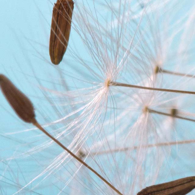 Zoomed In Nivel 114