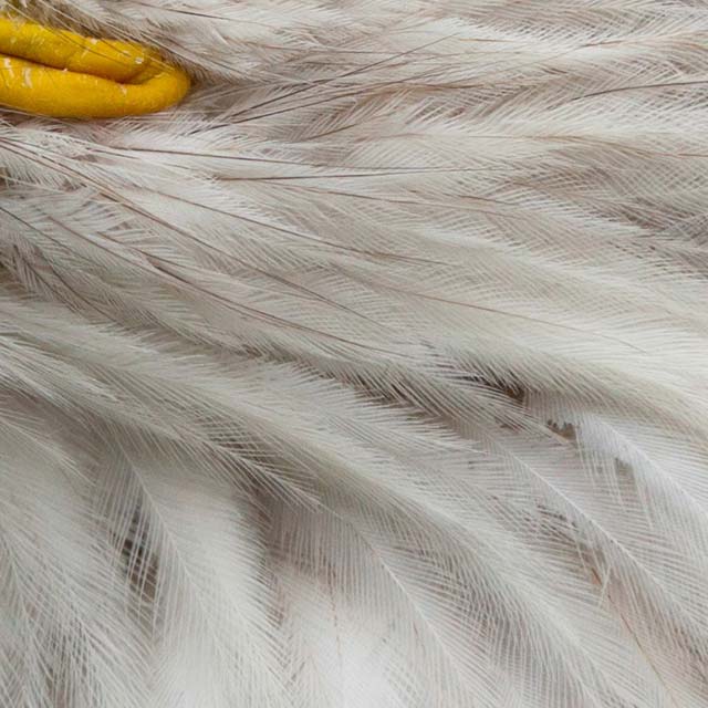 Zoomed In Nivel 73