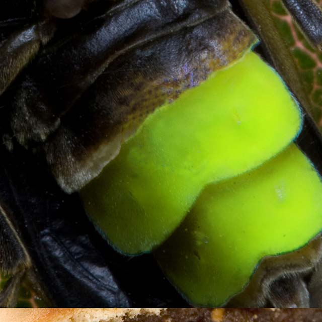 Zoomed In Level 189