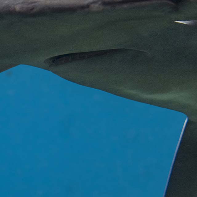 Zoomed In Nivel 18