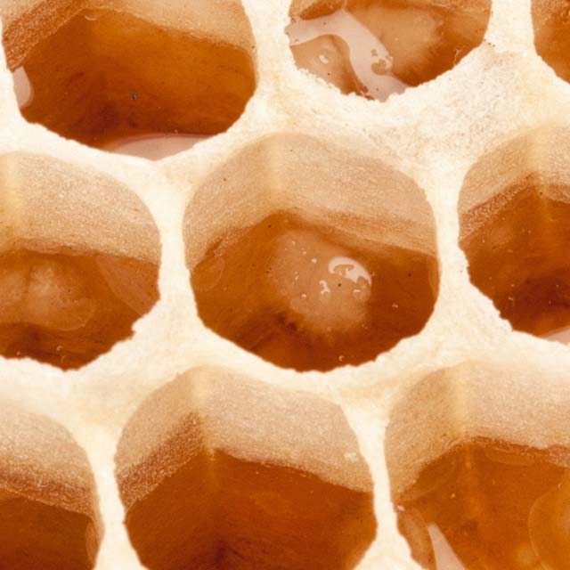 Zoomed In Nivel 218
