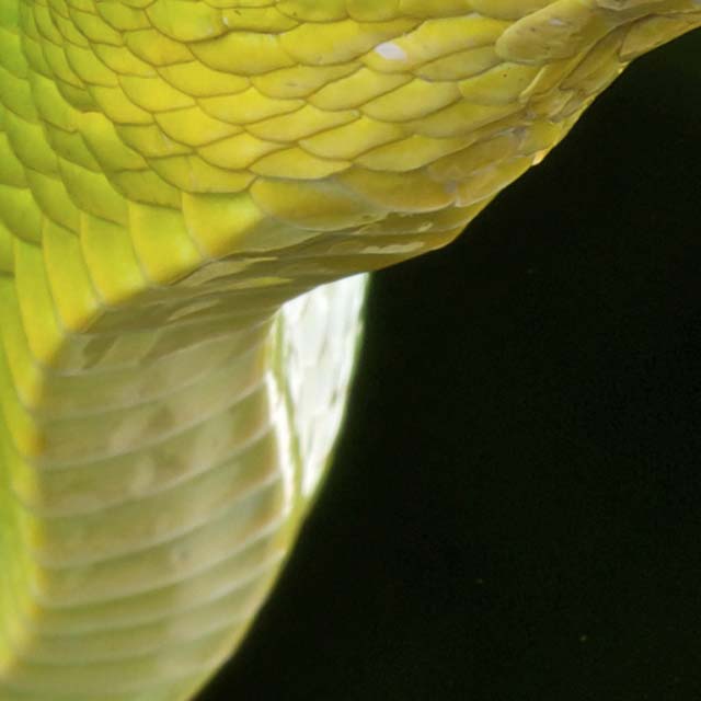 Zoomed In Nivel 2
