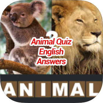 Animal Quiz Level 3 Game Solver