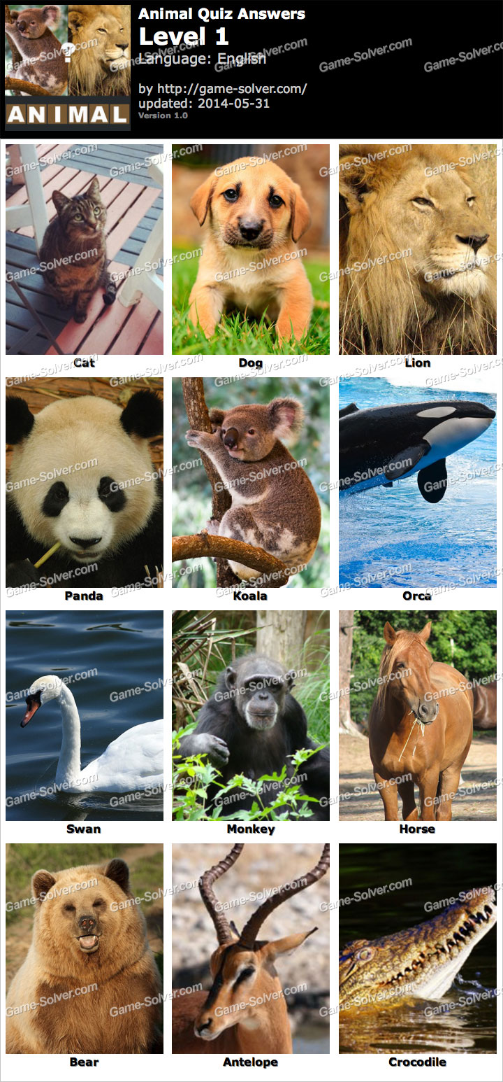 Animal Quiz Answers - Game Solver