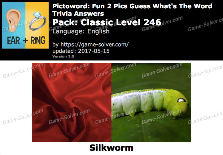 Pictoword Fun 2 Pics Classic Level 246 Answers - Game Solver