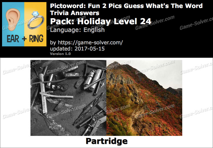 Pictoword Fun 2 Pics Holiday Level 24 Answers - Game Solver